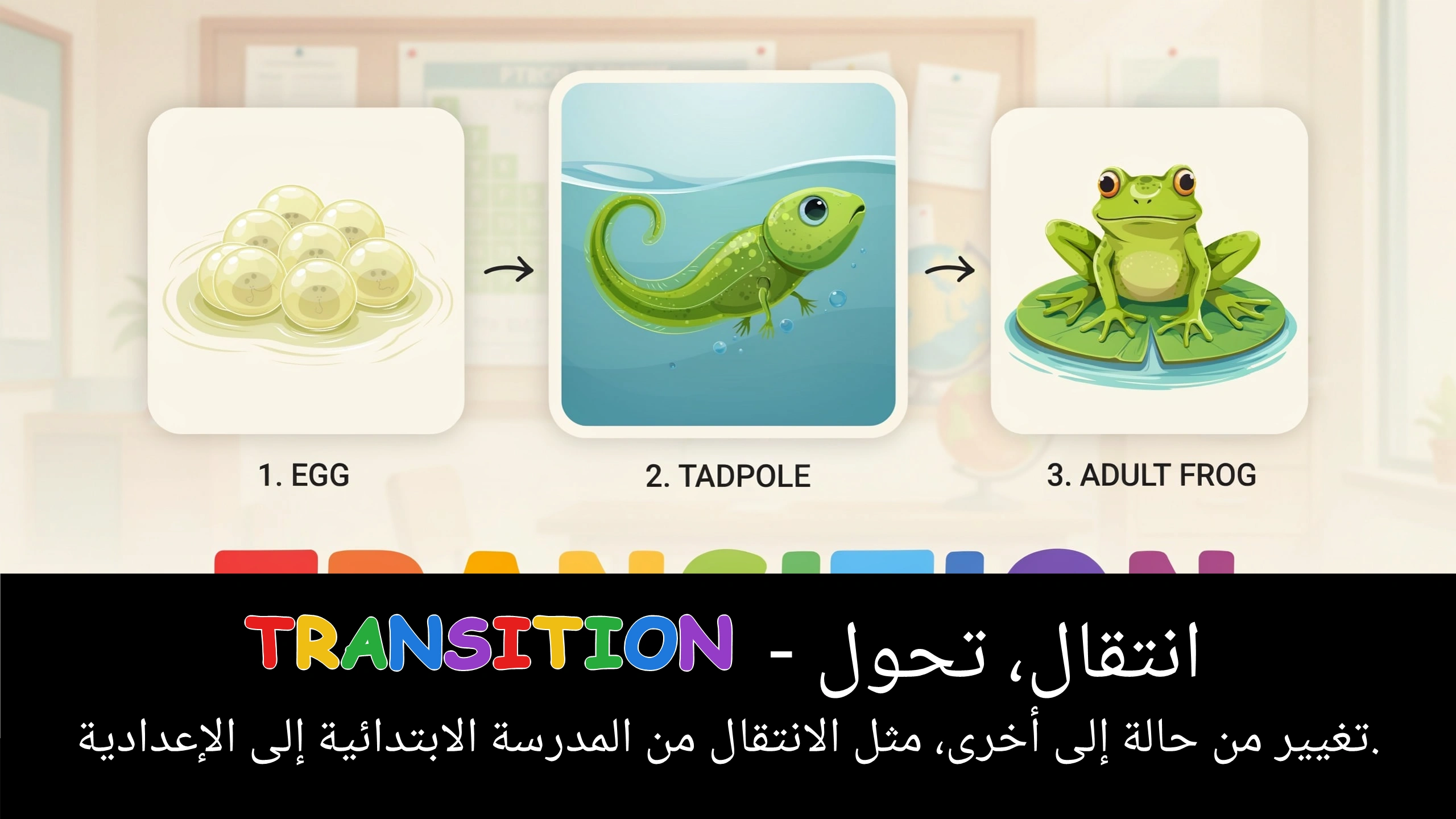 Arabic Illustration for transition